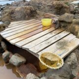 19｜源泉で作る温泉たまごキット