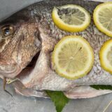 B2｜［洋風］式根鯛平君／鯛の塩釜焼セット