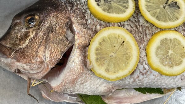 B2｜［洋風］式根鯛平君／鯛の塩釜焼セット