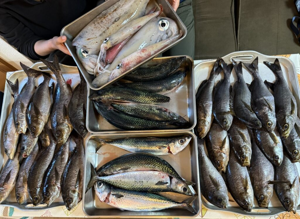 釣り・魚突きをしたい方へ