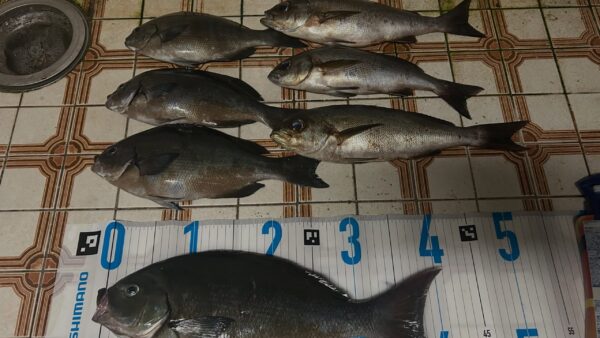 釣りを楽しむお客様へ｜コマセ・餌・釣り具の取り扱い、ごみ処理のお願い